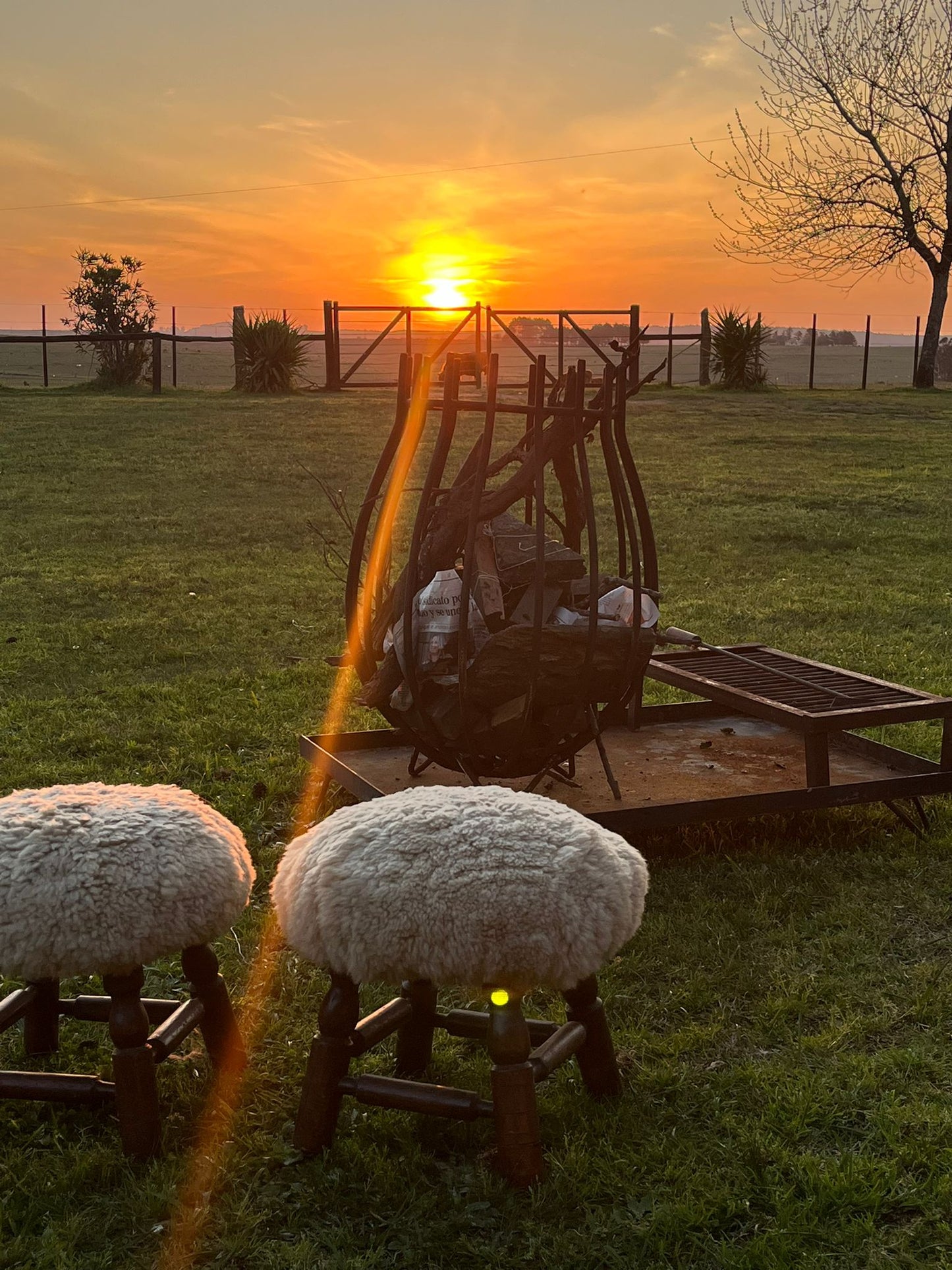 Copa Chico + Base XL